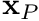 $ \mathbf{x}_P $