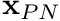 $ \mathbf{x}_{PN} $