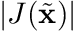 $|J(\tilde{\mathbf{x}})| $