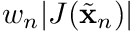 $ w_n |J(\tilde{\mathbf{x}}_n)| $